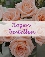 Rozen bestellen bij Juvéro BV