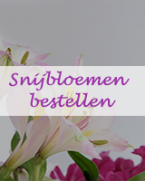 Snijbloemen bestellen bij Juvéro BV